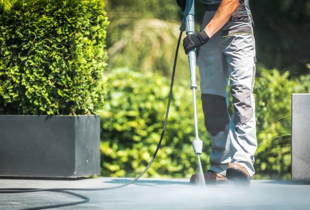 Best Dumpster Area Cleaning  in Apopka, FL